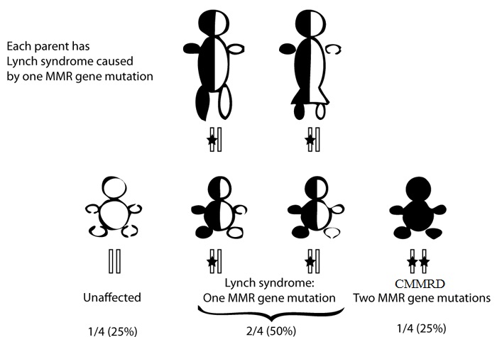 An illustration describing how a child can inherit Lynch syndrome. If each parent has Lynch Syndrome caused by one MMR gene mutation there is a 25% chance the child will be unaffected, a 50% chance for a child to inherit Lunch syndrome with one MMR gene mutation and a 25% chance for a child to have CMMRD, with two MMR gene mutations. 